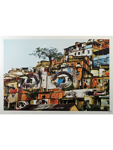 Favela Tree of Providencia